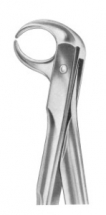  Fig. 86C lower molars 